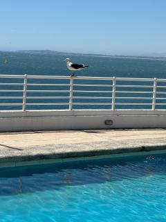 Rest with beautiful ocean views - Concón - 1