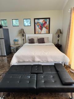 Large Luxury Studio with View in Santa Monica - Santa Monica - 5