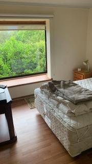 Maravilloso Depto en Edificio el Mirador Pucon - 7