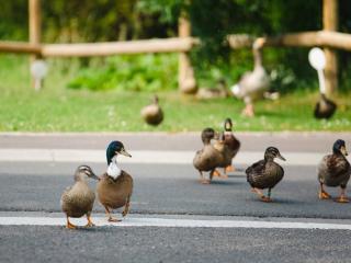 Studio confortable à 300 m de la plage avec parking privé - FR-1-788-45 - 9
