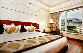 Hotel Regent Grand - New Delhi - 8