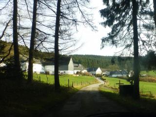 Waldhotel Einstein - Kirchhundem - 8