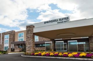 SpringHill Suites by Marriott Somerset Franklin Township - Somerset - 8