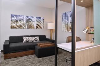 SpringHill Suites by Marriott Springfield Southwest - 8