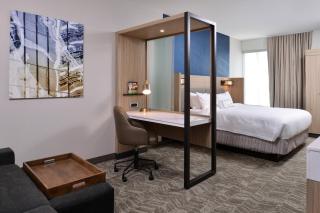 SpringHill Suites by Marriott Springfield Southwest - 5