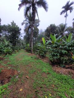 Wayanad Villa homestay - 5