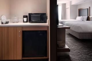 SpringHill Suites by Marriott Syracuse Carrier Circle - East Syracuse - 2