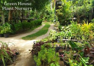 Villa Green House - Galle - 1