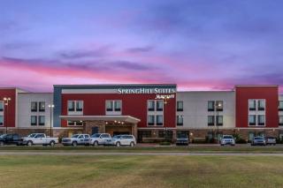 SpringHill Suites by Marriott Enid - Enid - 9