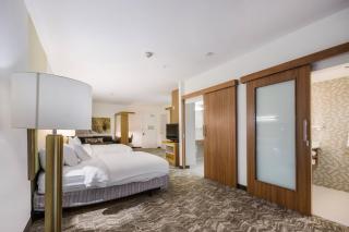 SpringHill Suites by Marriott Enid - Enid - 3