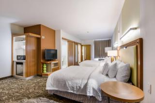 SpringHill Suites by Marriott Enid - Enid - 4
