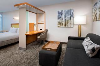 SpringHill Suites Potomac Mills Woodbridge - Woodbridge - 3