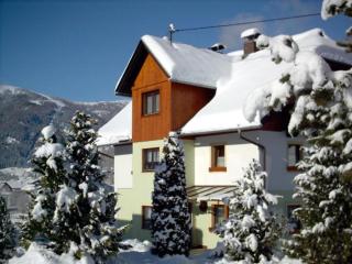 Gipfelglück Appartements - Bike & Hike - Bad Kleinkirchheim - 8
