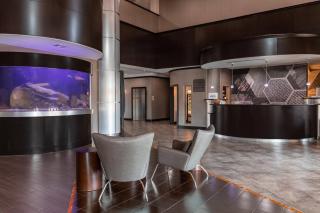 SpringHill Suites by Marriott Waco Woodway - Woodway - 6