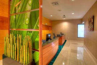 SpringHill Suites by Marriott - Tampa Brandon - 3