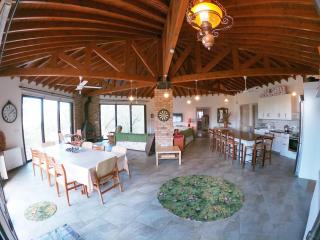 Orama Mountain Villa Farmakas - Nicosia - 7