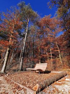 Idyllische Ferienwohnung nahe Nürburgring - 8