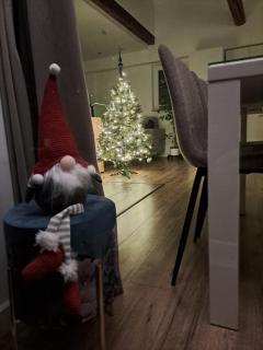 Apartmán Loft - Párnica - 9