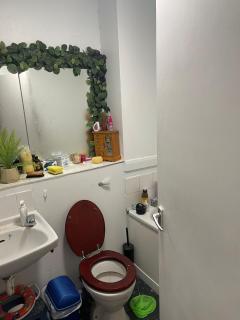 Studio Apartment in London - Eltham - 4