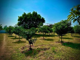 MangoHut Farmhouse Pool Villa - Hyderabad - 7