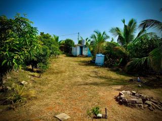 MangoHut Farmhouse Pool Villa - Haiderabad - 8