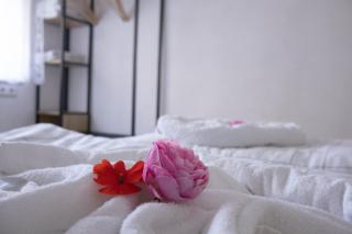 Deniz Apartments - 0