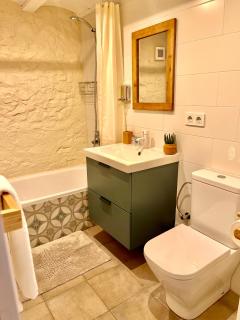 Apartamento ZEN - Mas Regort - Vallfogona de Ripolles - 6