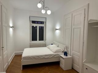 Appartement bourgeois centre - Strasburgo - 5
