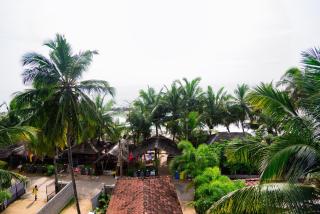 Golden Surfer Beach Hotel - 6