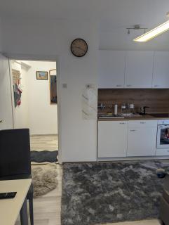 Studio apartman DINO z balkonom - Rogatec - 5