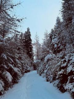 Chalet Tschattlhof Dolomites - 2