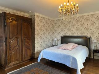 Château de la Preuille Bed & Breakfast - Montaigu-Vendée - 9