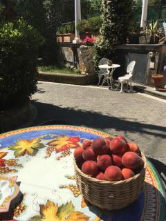 Domus Felix - Sorrento - 8
