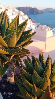 Santorini Ethereal Blue Suites - 5