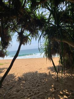 Serene Villa - Hikkaduwa - 6
