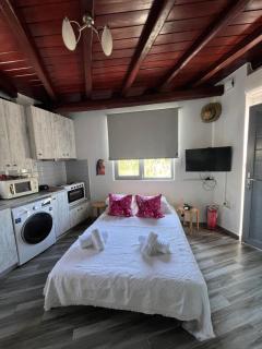 Agge Mykonο stay - Platis Gialos - 9
