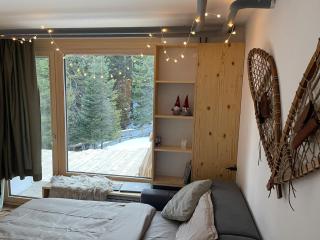 New cosy apartment, smučišče Krvavec - Cerklje na Gorenjskem - 2