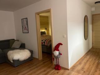 New cosy apartment, smučišče Krvavec - 5