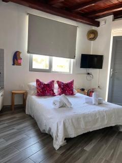 Agge Mykonο stay - Platis Gialos - 8