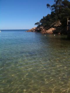 TOUT A PIED ! 150m PLAGE DU LAVANDOU T3 PISCINE - Le Lavandou - 0