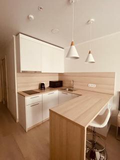 Private apartments at the YES Apart Hotel вид на Ботанический сад - Astana - 4