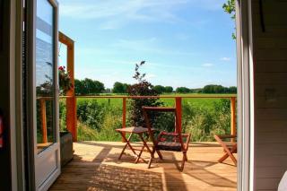 Shepherd's Hut a tiny ecohouse near Dwingelderveld - 6