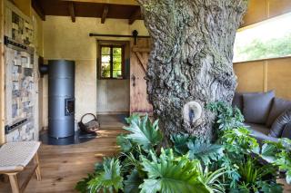 Baumhaus Beletage - - 8