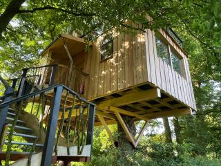 Baumhaus Beletage - - 3