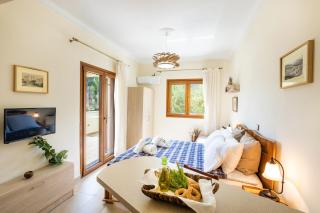 Olive Studio 3 - - 4