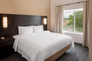 Residence Inn by Marriott Detroit Farmington Hills - 1