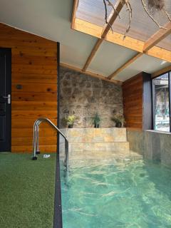 Maison Blanche du Volcan - Avec piscine intérieure chauffée - Le Tampon - 8