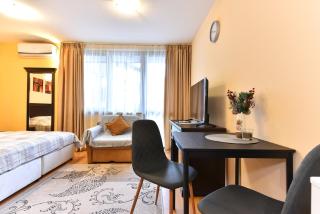 Maksimovi's studio 1 - Bansko - 0
