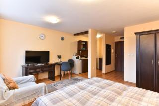 Maksimovi's studio 1 - Bansko - 8