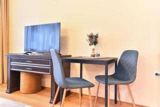 Maksimovi's studio 1 - Bansko - 3